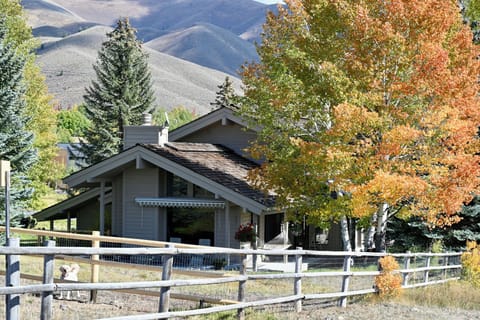 Backyard, yard, and deck
