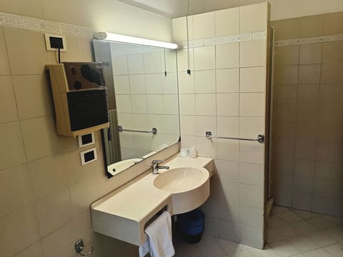 Classic Double or Twin Room | Bathroom | Shower, hair dryer, towels, soap