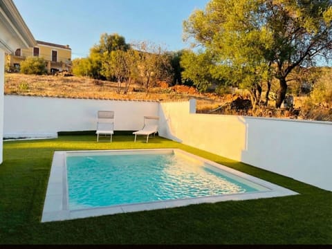 Swimming Pool, Garden, Lawn, Backyard, Landscaping, Yard, Shade, Artificial Turf, Design, Resort