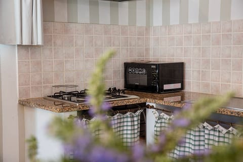 Apartment, 1 Bedroom | Private kitchen