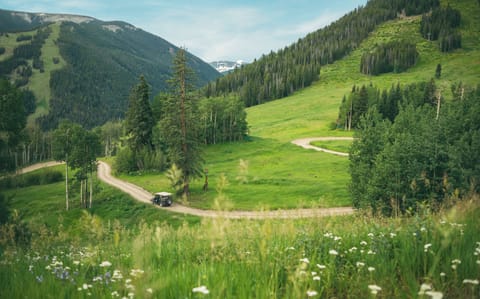 Soak in the mountainside greenery in the Spring and Summer seasons.  