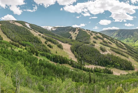 Enjoy hiking in the Beaver Creek foothills