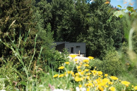 Summer: Nestled into the Trees