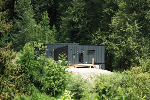 Cabins Nestled into the trees