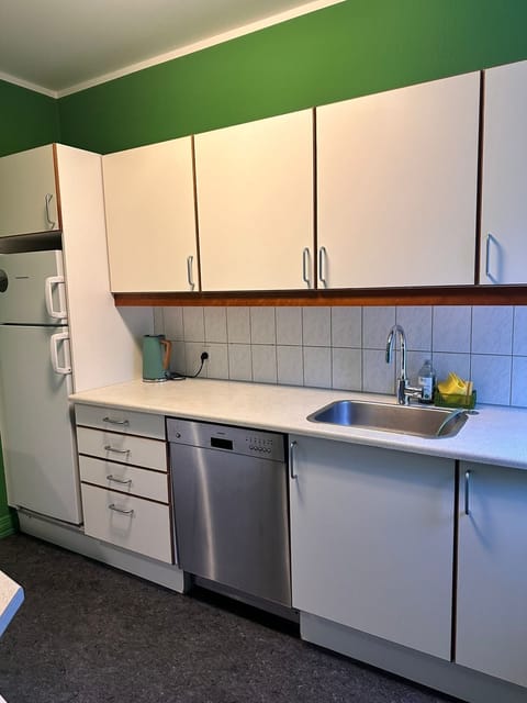 Oven, stovetop, cookware/dishes/utensils