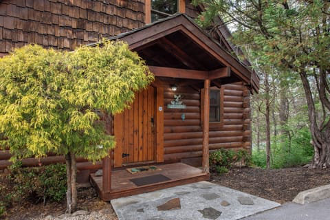 Charming log cabin entrance nestled among towering evergreens, featuring rustic wood construction and natural forest surroundings.