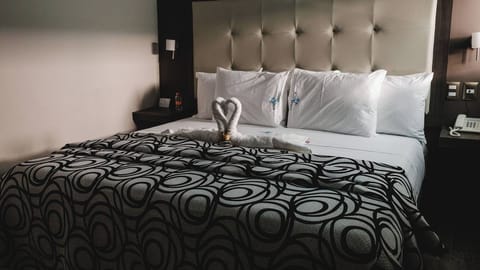 Unwind in a cozy, quiet room with plush pillows.