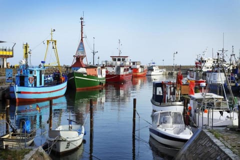 Surroundings [summer] (1-5 km)