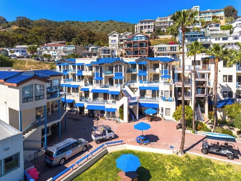 Take in the full resort layout framed by palms.