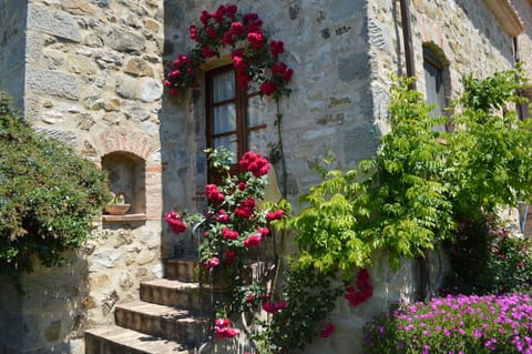 Autumn, Garden, Spring, Summer