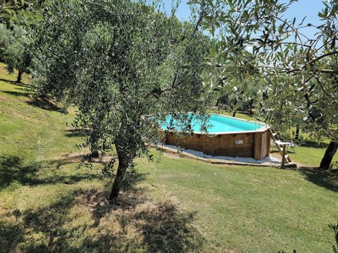 Autumn, Pool, Spring, Summer