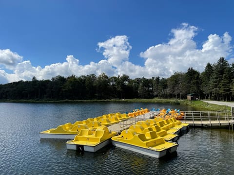 Bright yellow paddle boats rest on a calm lake, framed by lush greenery and a brilliant blue sky, inviting tranquility and leisure in the heart of nature.