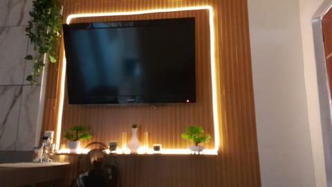 Television