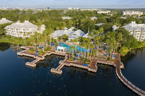 Aerial View of main pool and docks