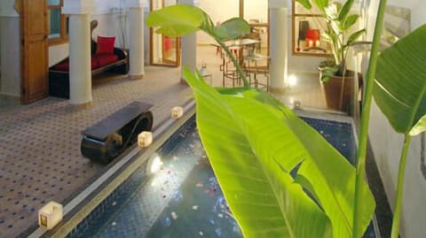 Indoor pool, sun loungers