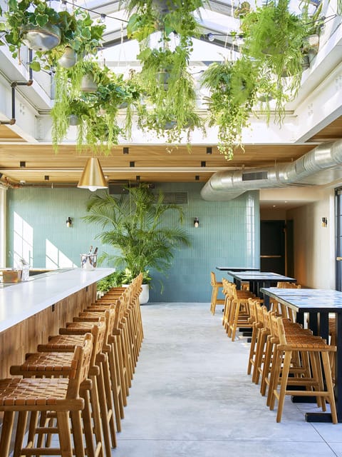 Bar counter lined with woven stools and hanging greenery overhead