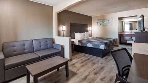 Standard Room, 1 Queen Bed, Non Smoking, Refrigerator & Microwave (with Sofabed) | Desk, laptop workspace, blackout drapes, iron/ironing board (on request)