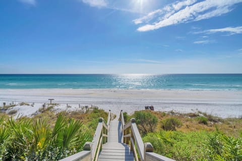 Condo, 1 King Bed with Sofa bed (Gulf Place Caribbean 406) | Beach