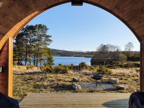 View | Now - Here & Now Pods : Now, Cassafuir