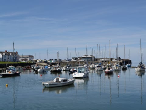 Aberaeron Harbour | Ceredigion/Cardigan Bay, Wales