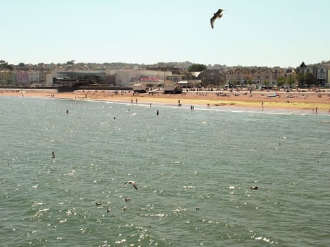 Paignton