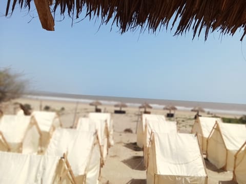 On the beach, white sand