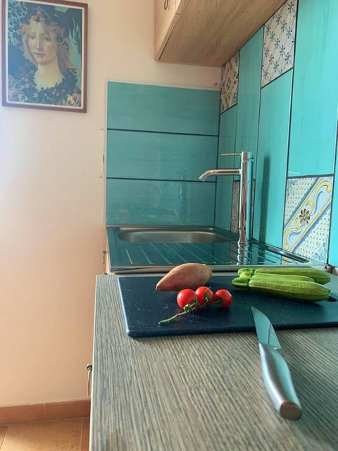 Apartment, 1 Bedroom, Smoking | Private kitchen