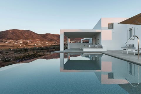 A sculptural infinity pool blending seamlessly with the surrounding landscape.