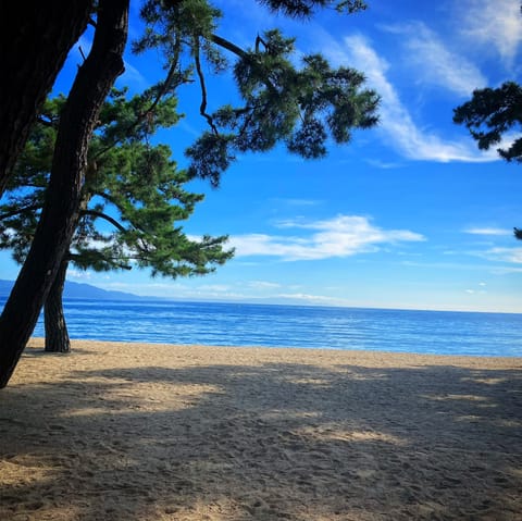 Beach