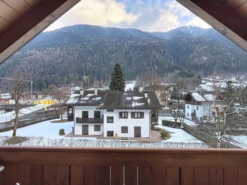 Shrub, Garden, Cottage, Shade, Landscaping, Yard, Backyard, Villa, Farmhouse, Houseplant