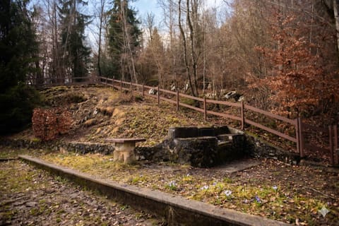 BBQ/picnic area