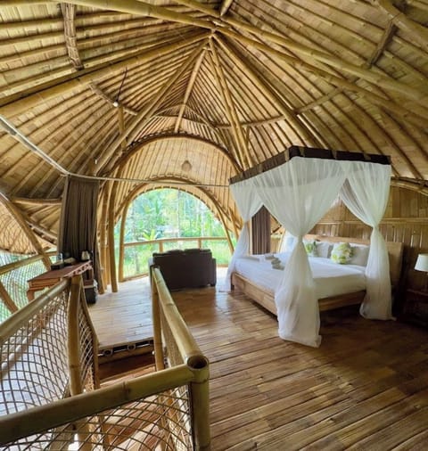 Junior Room, Poolside | Interior