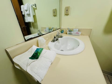 Room, 1 King Bed | Bathroom | Eco-friendly toiletries, towels