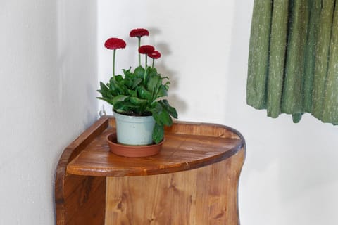 Room 'La Polse Di San Pieri Camera Doppia' with Mountain View and Wi-Fi Apartment in Friuli-Venezia Giulia