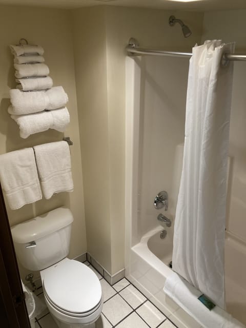 Combined shower/tub, free toiletries, towels