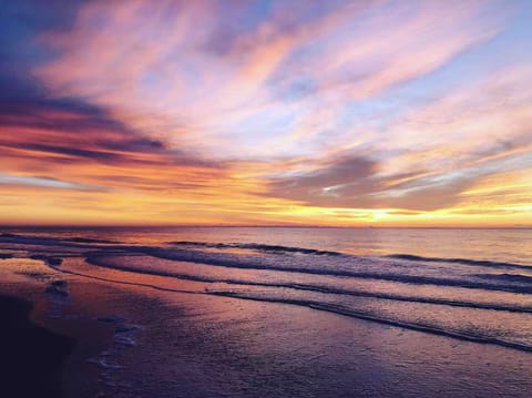 Soak in the shore serenity during the "golden‑hour" as the sun melts into the Gulf and savor quiet moments where beach days end in pink and golden skies…