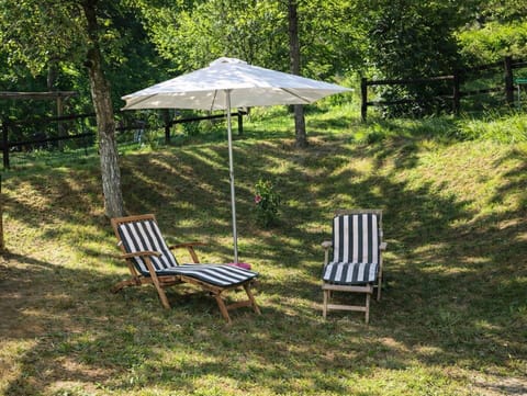 Autumn, Garden, Spring, Summer