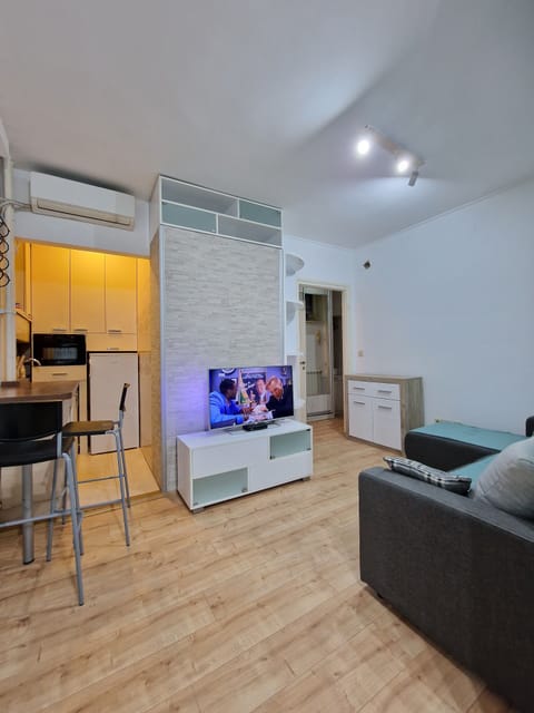 Standard Apartment | Living area