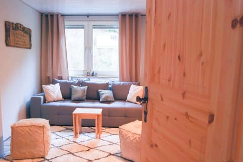 Living room /sofa bed/bathroom