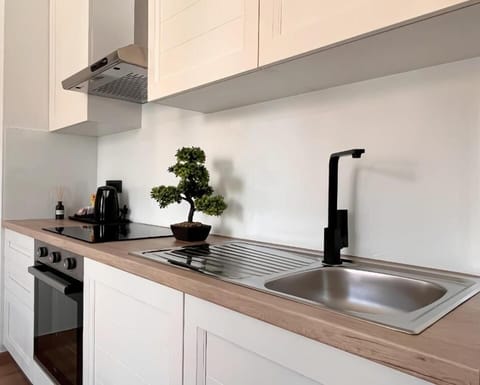 Comfort Apartment, City View | Private kitchen | Fridge, oven, stovetop, dishwasher