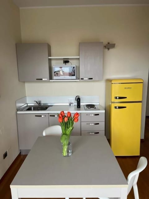 Apartment, Lake View | Private kitchen