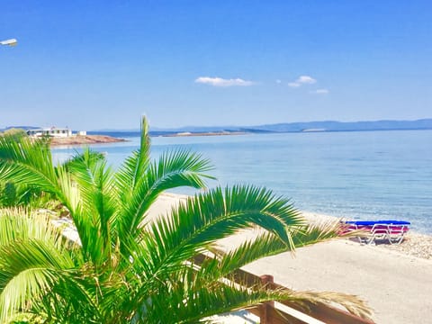On the beach, sun loungers, beach umbrellas