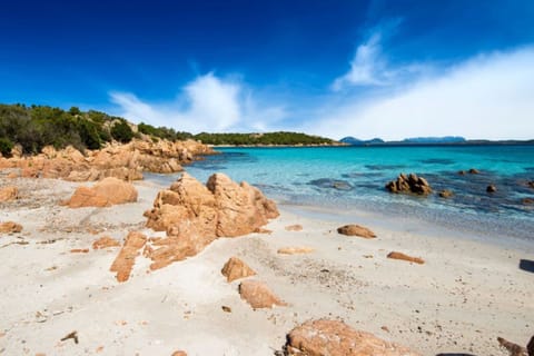 Apartment, 2 Bedrooms, Garden View | Beach