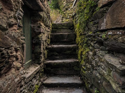 Cottage | Property grounds