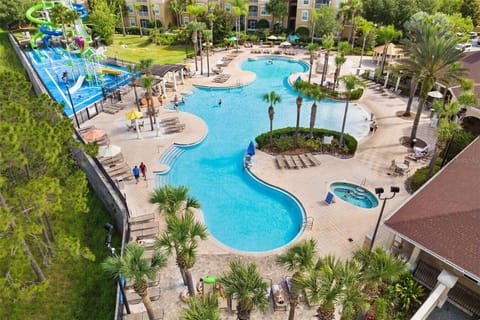 Expansive resort pool with lounge areas and palm-lined views.