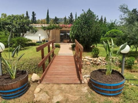 Shrub, Garden, Shade, Backyard, Landscaping, Hacienda, Yard, Estate, Flowerpot