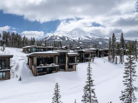 Tree, Nature, Outdoors, Scenery, Architecture