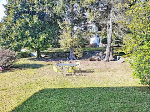 Green, Leaf, Grass, Branch, Shrub, Garden, Landscape, Shade, Lawn, Sunlight