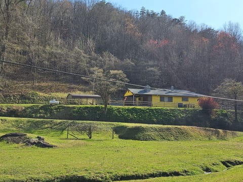 Dragon's Lair @ MeadowBranch