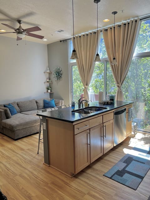 2nd Floor Full Kitchen and Living area
